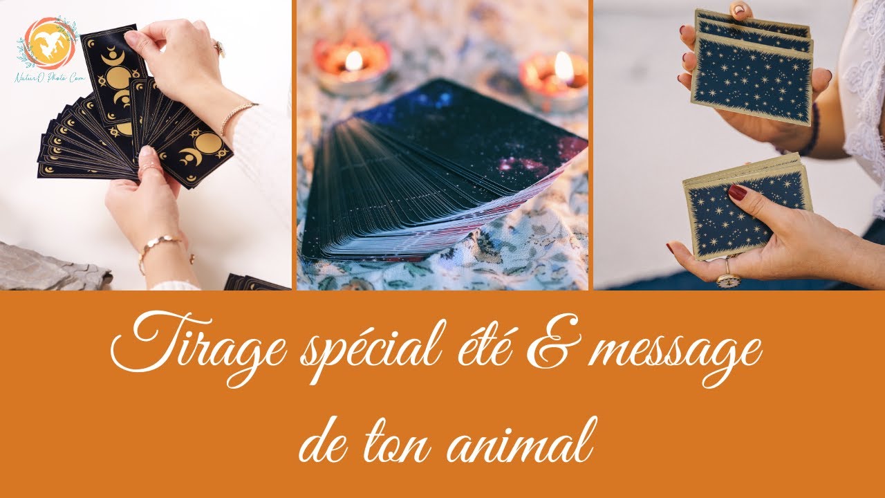 TON TIRAGE DE L'ÉTÉ 😎🌞🏖️ + LE MESSAGE DE TON ANIMAL 💙 🐾💙