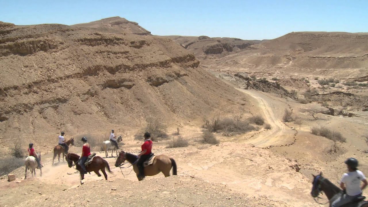endurance horse riding alpaca farm mitzpe ramon israel