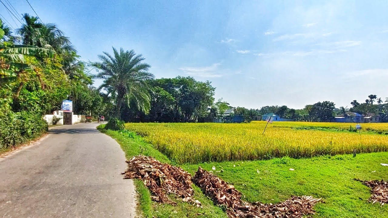 নরসিংদী ভেলানগর কালীবাড়ি রোডের পাশে জমি বিক্রি হচ্ছে | ঠিক কোথায় এই লোকেশন আজকের ভ্লগে ঘুরে দেখুন 😍