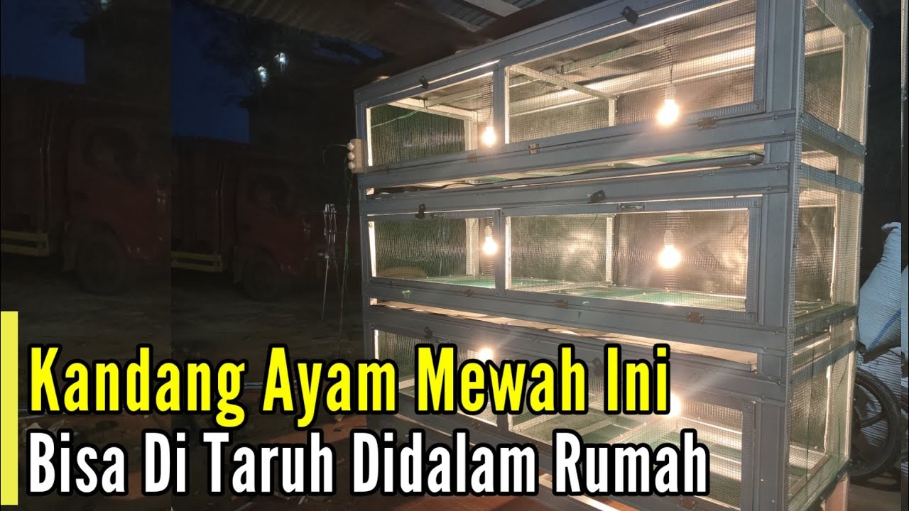 Kandang BOX DOC Mewah dan Modern Cocok Untuk Lahan Sempit !!