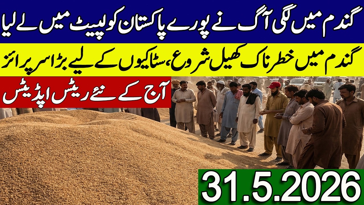 New Gandum Rates Today 2026 || New Wheat Price Today || Gundam kay Rates Today 2026