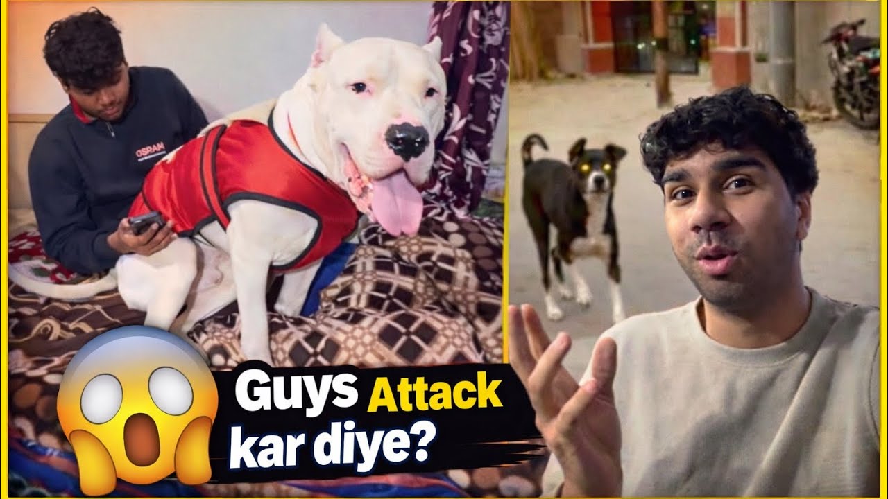 Street dog attack on me 😱🤯 #viral 