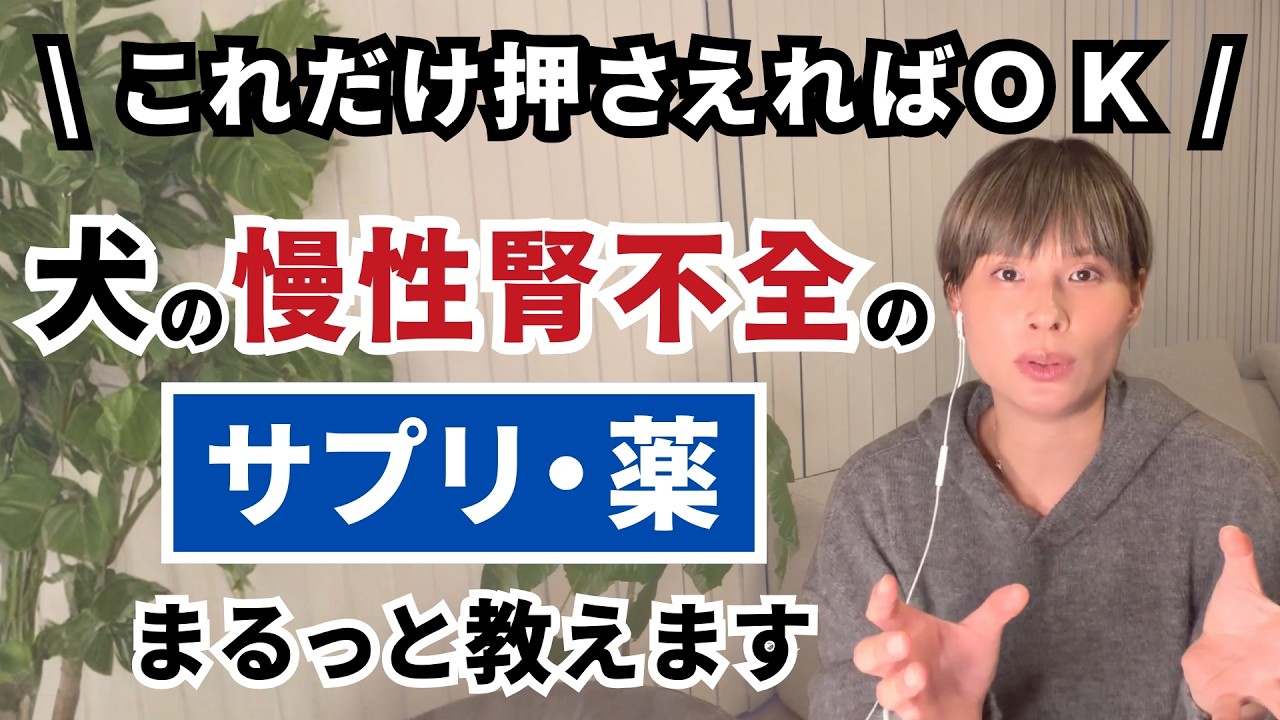 【これだけ押さえればOK】犬の慢性腎不全のサプリ・薬まるっと教えます