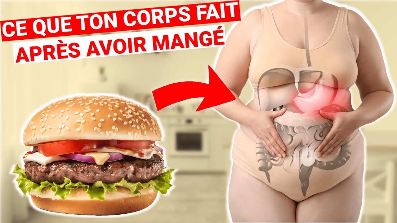 Ce que tu manges transforme directement ton corps en graisse (voici comment)