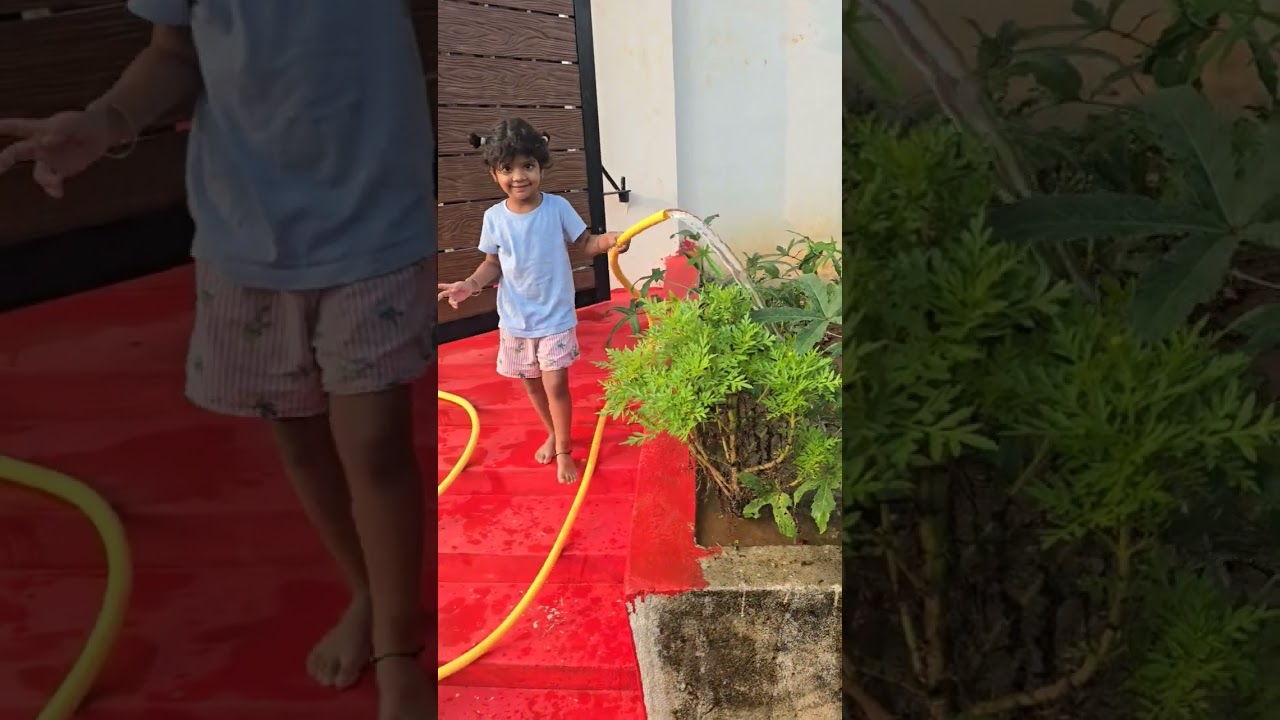 Hanvi Mornings #gardening #garden #morningroutine #morning