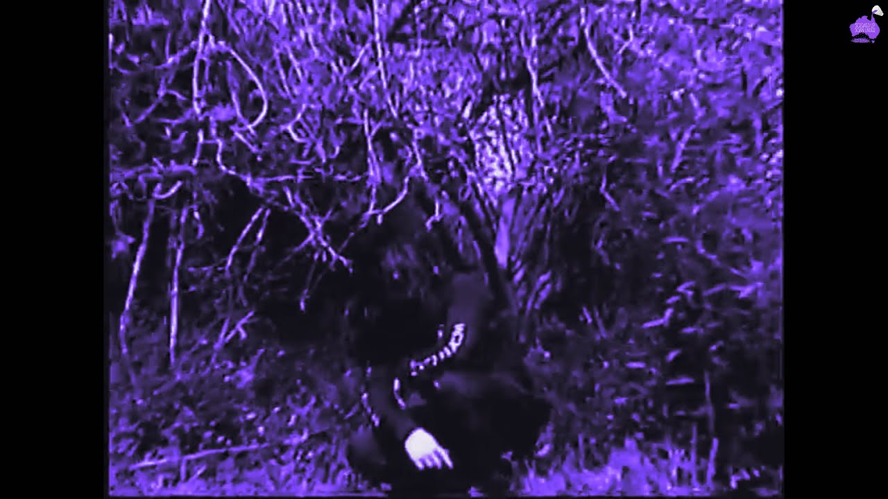 Bones - It'sAWonderfulLife [Chopped & Screwed] PhiXioN