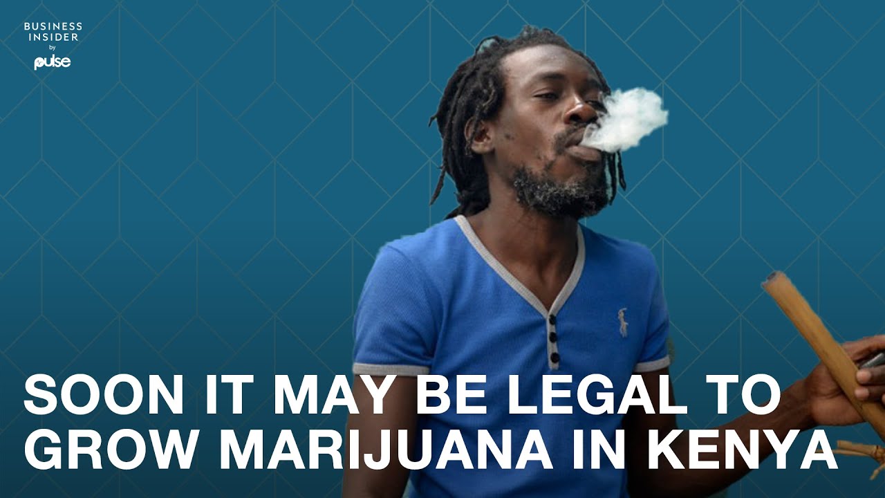 Soon It May Be Legal To Grow #Marijuana In Kenya