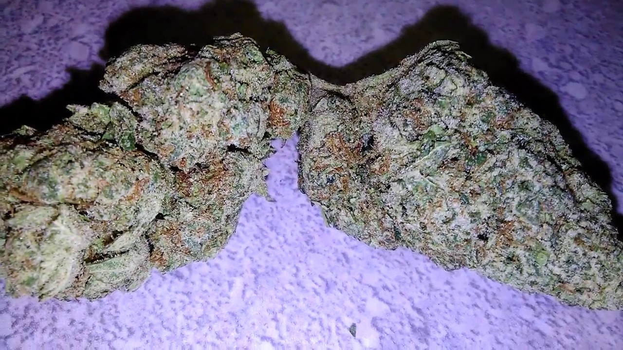 Star Bud