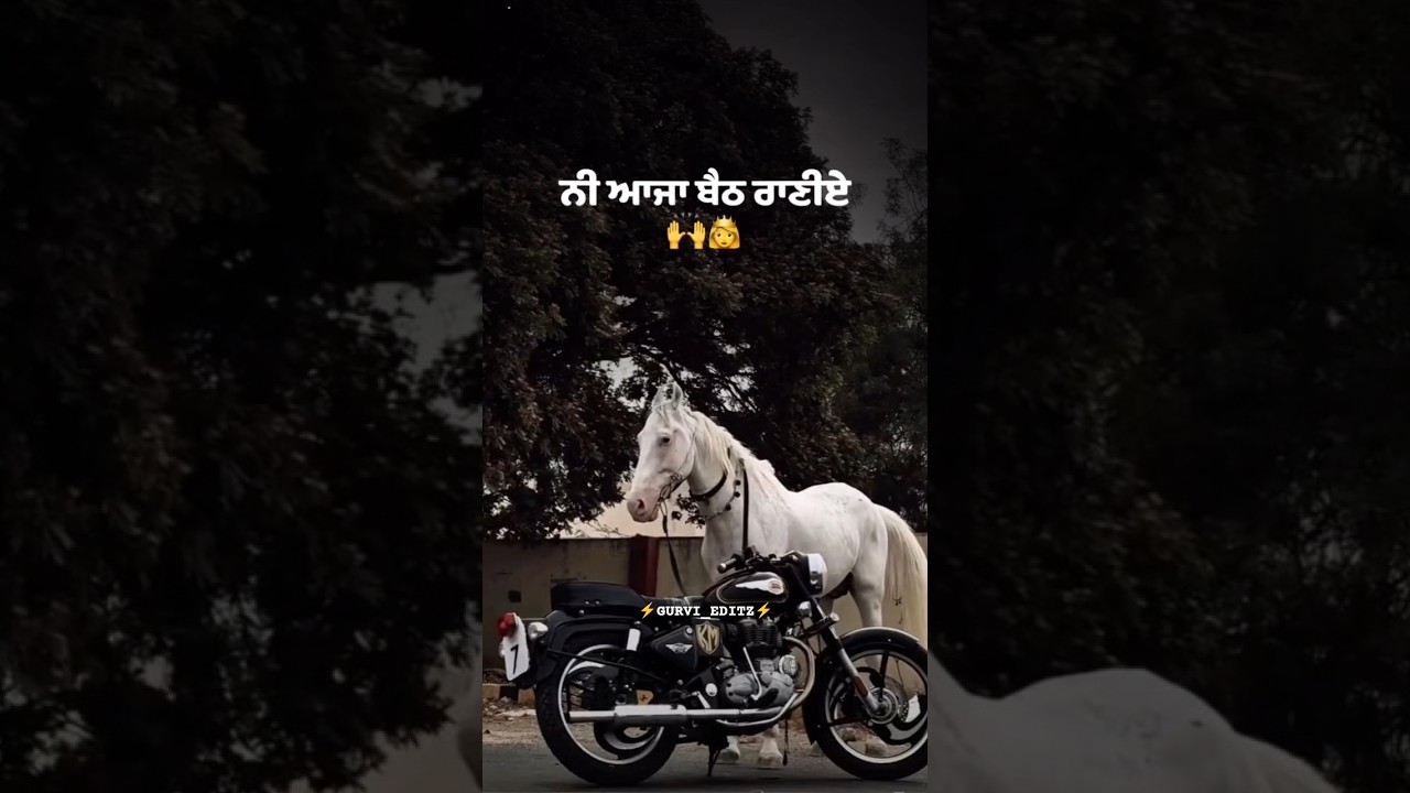 Dulla | Definition | New Punjabi Songs Status 2025 #dulla #punjabistatus #punjabimusic #shorts