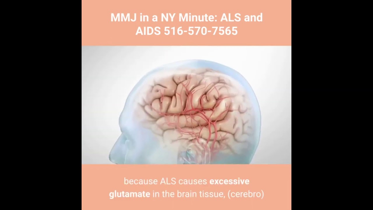 MMJ in a NY Minute   ALS AIDS 516 570 7565