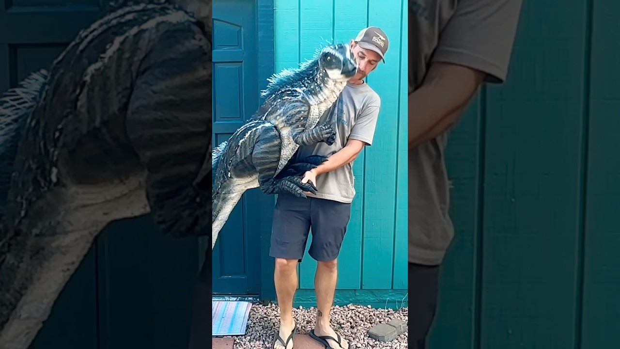 Oryctodromeus puppet made for the Idaho Museum of Natural History