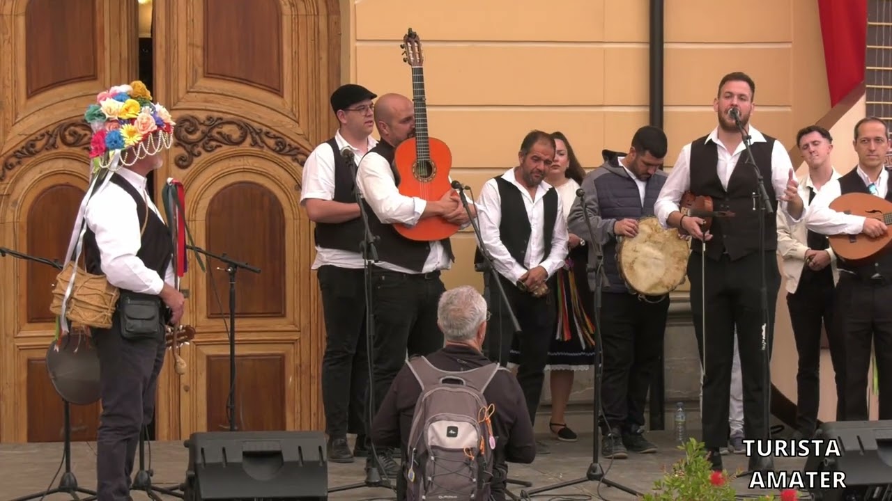 PANDA VERDIALES EL BORGE: VIII ENCUENTRO DE CUADRILLAS  HUESCAR CON RAIZ