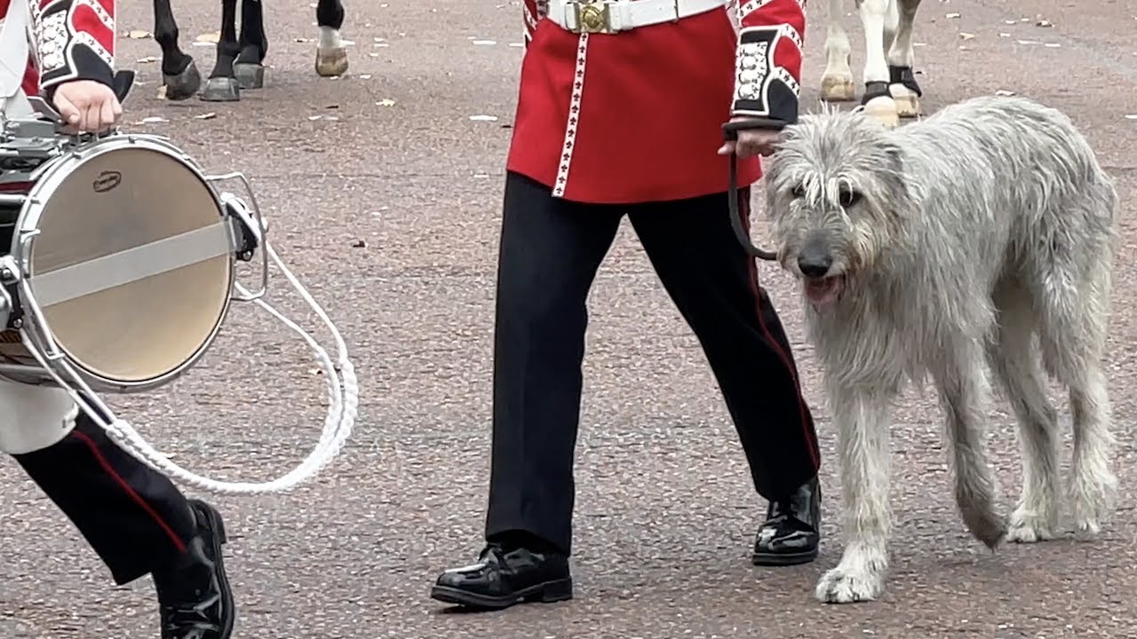 Changing The Guard: London 21/08/22.