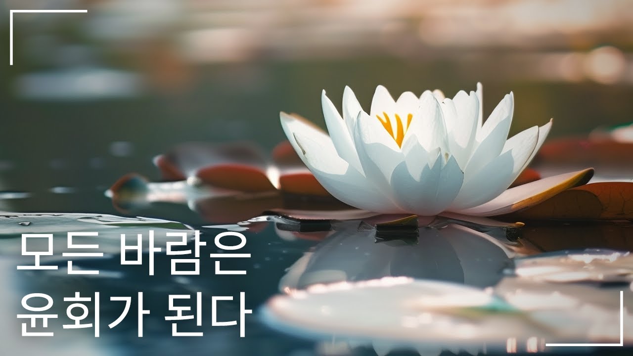 스님이 전한 윤회의 진짜 의미｜우리는 원하는 대로 태어난다 #전생#마음의평화#영혼의여행#깨달음#과거생#명상