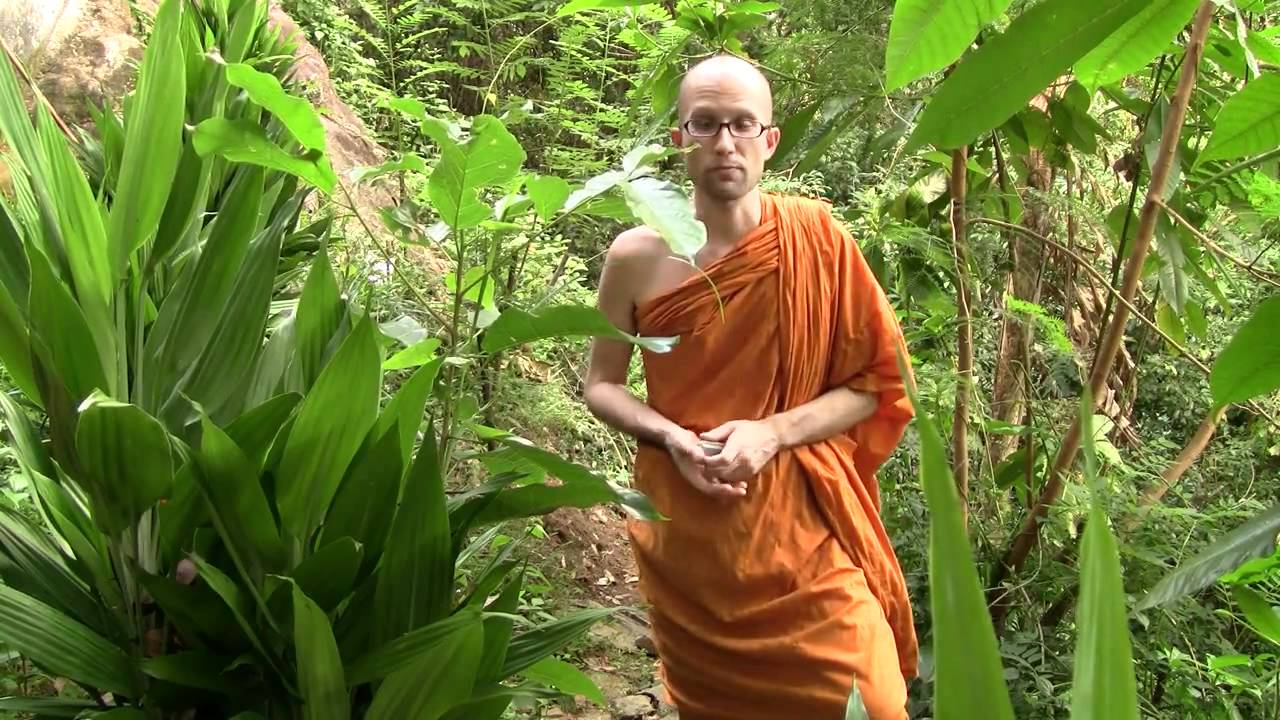 Ask A Monk: Dealing With Pests