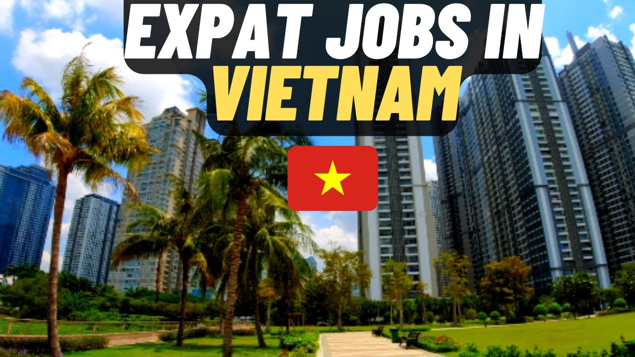 КАКУЮ РАБОТУ выполняют экспаты во Вьетнаме? 🇻🇳