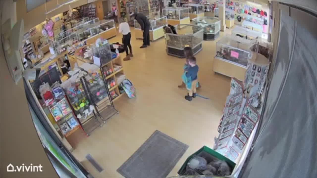 Perfect Pets theft incident