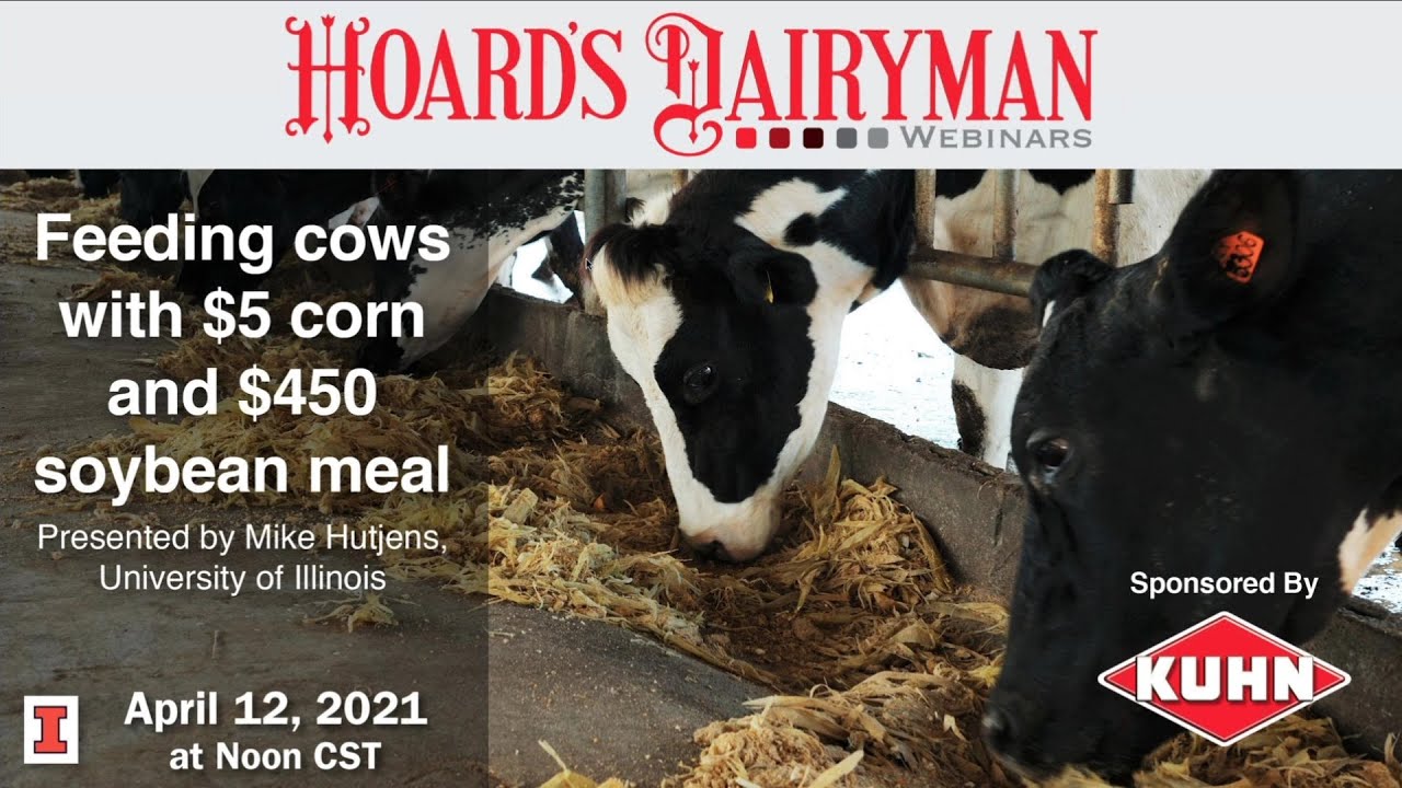 Feeding cows with $5 corn and $450 soybean meal