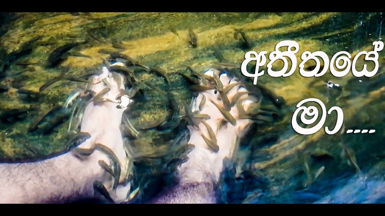 Kasun Kalhara -අතීතය‌ෙ මා / Atheethaye Ma ( Cover ) Kasun Indrajith