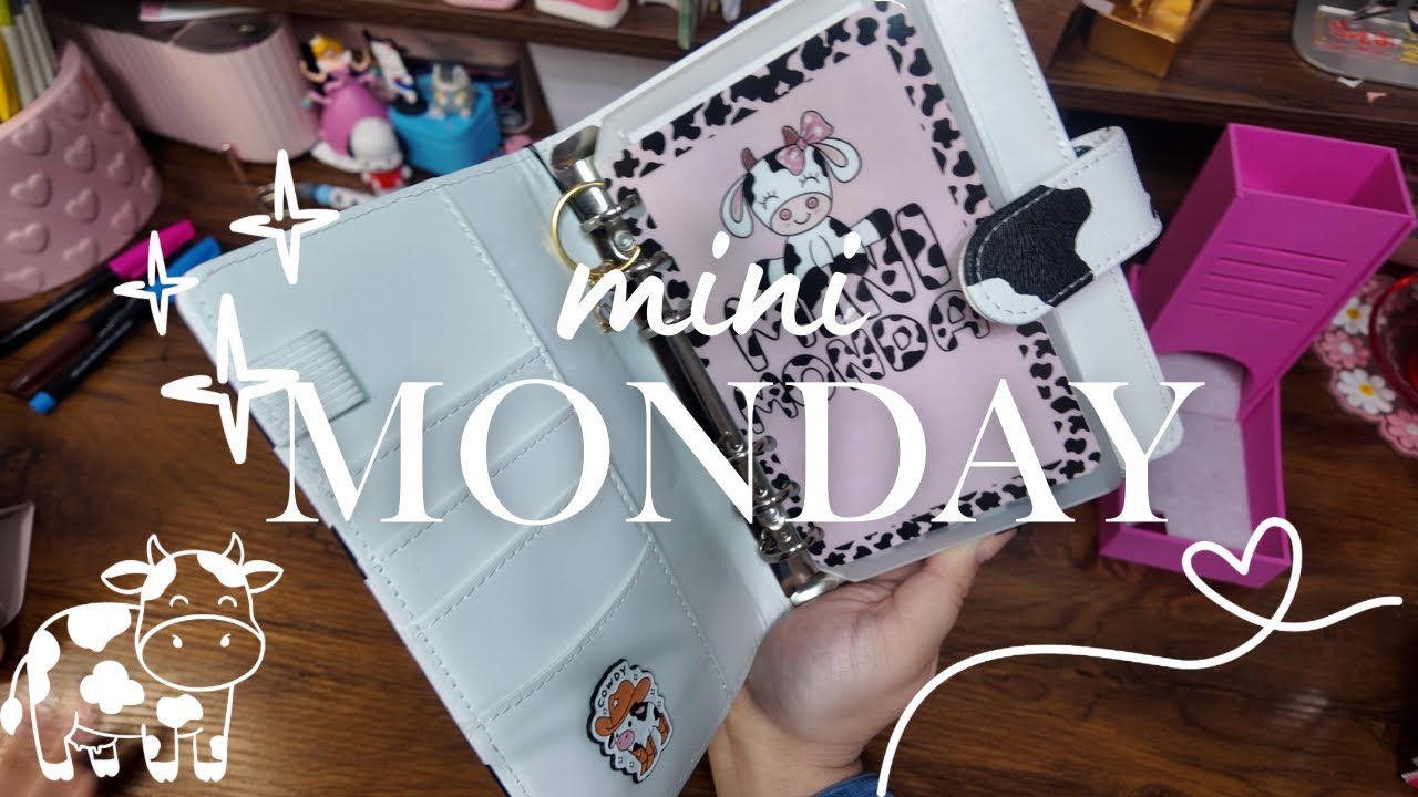 Мини-понедельник за 60 долларов 🐮 🎲 | Шаги к экономии 🩰✨