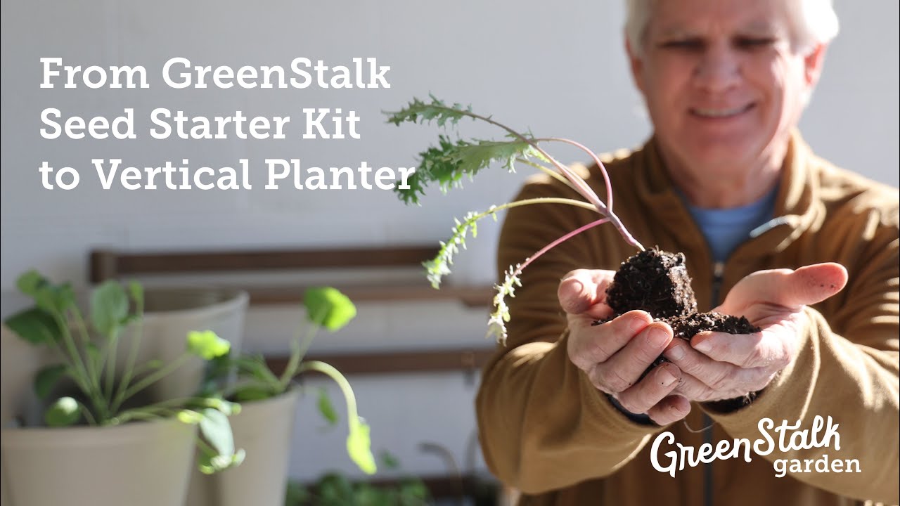 How to Transplant Seedlings from the GreenStalk Seed Starter Kit to Your GreenStalk Vertical Planter