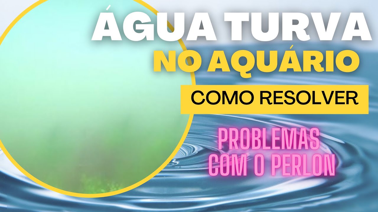 COMO RESOLVER PROBLEMA DE ÁGUA TURVA NO AQUÁRIO | ÁGUA LEITOSA | PROBLEMAS NO PERLON