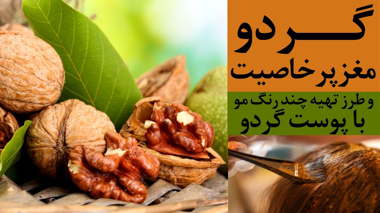 خواص بی نظیر گردو وچند رنگ مو با پوست گردو