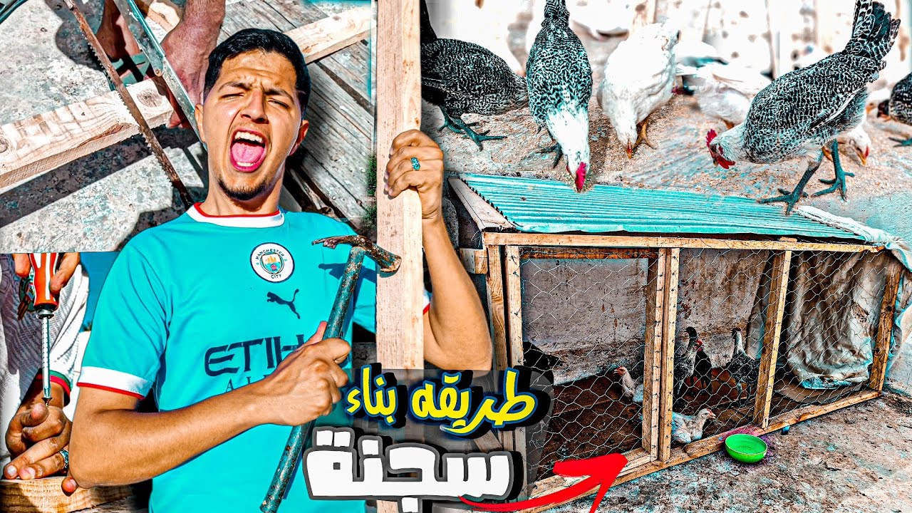 اجي تشوف عملية بناء السجنه ديال الدجاج 🐓 وها ب شحال تقامت عليا 💸