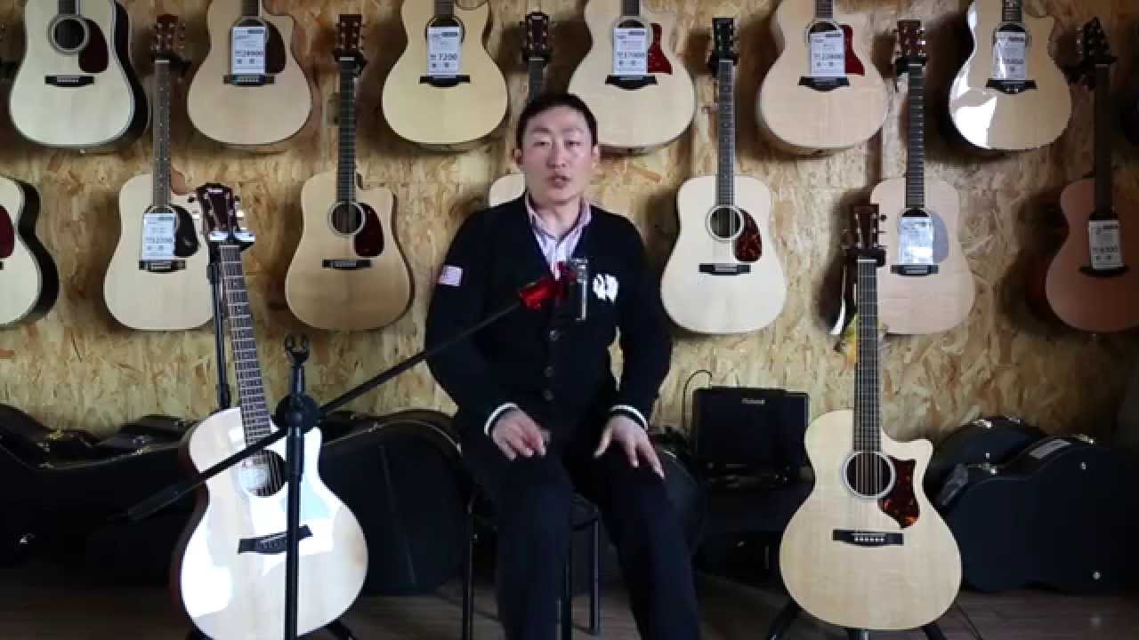 泰勒Taylor 314CE vs Martin gpcpa4 FLYMUSIC