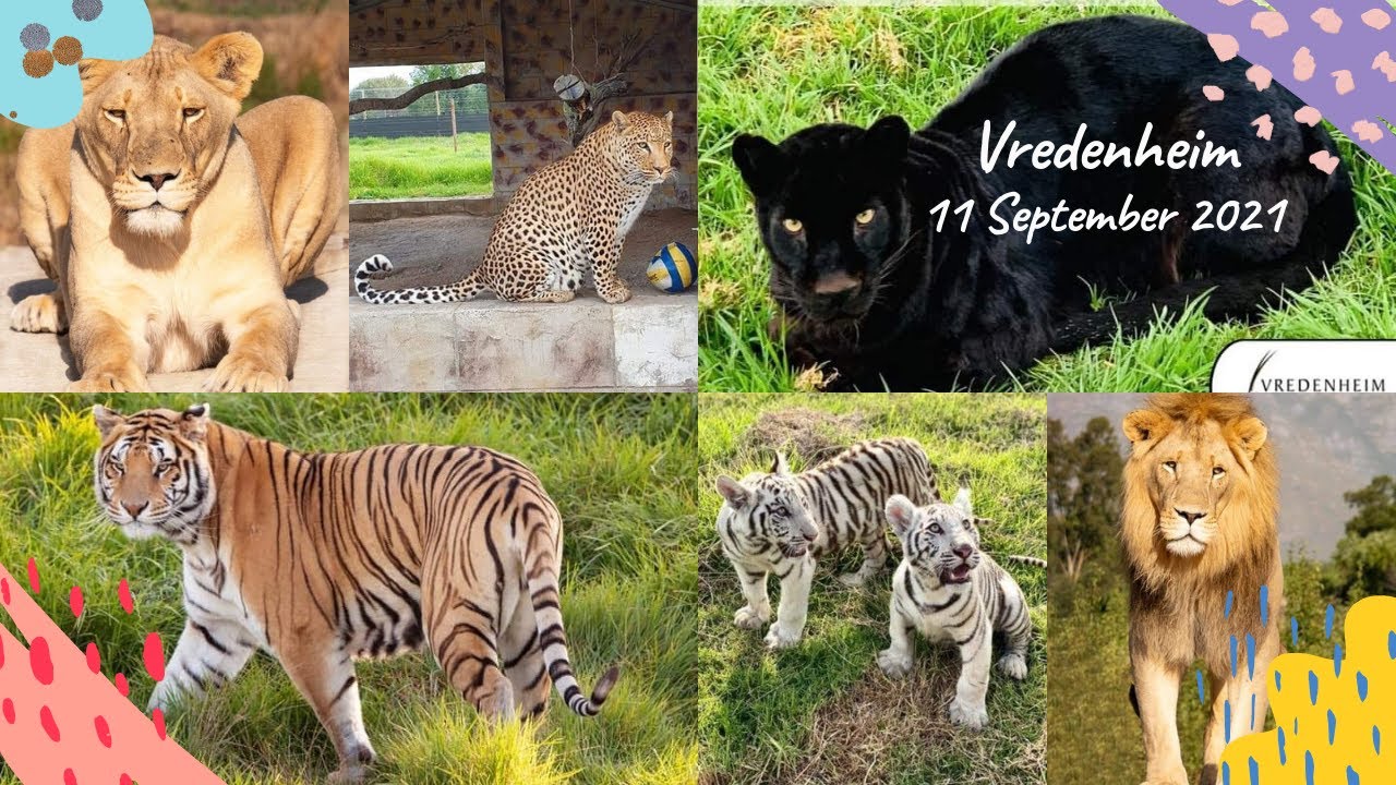 Vredenheim Wildlife and Winery *Stellenbosch*