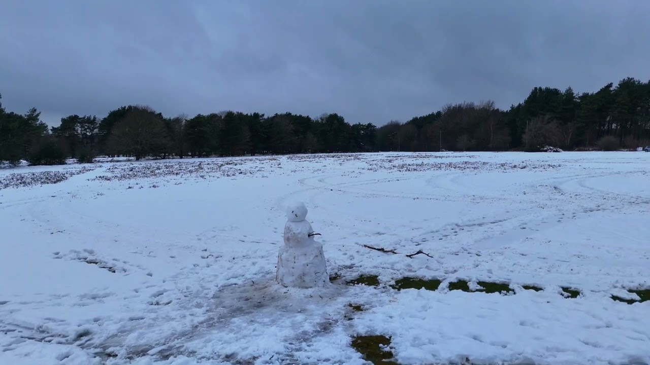 A snowy Cannock Chase