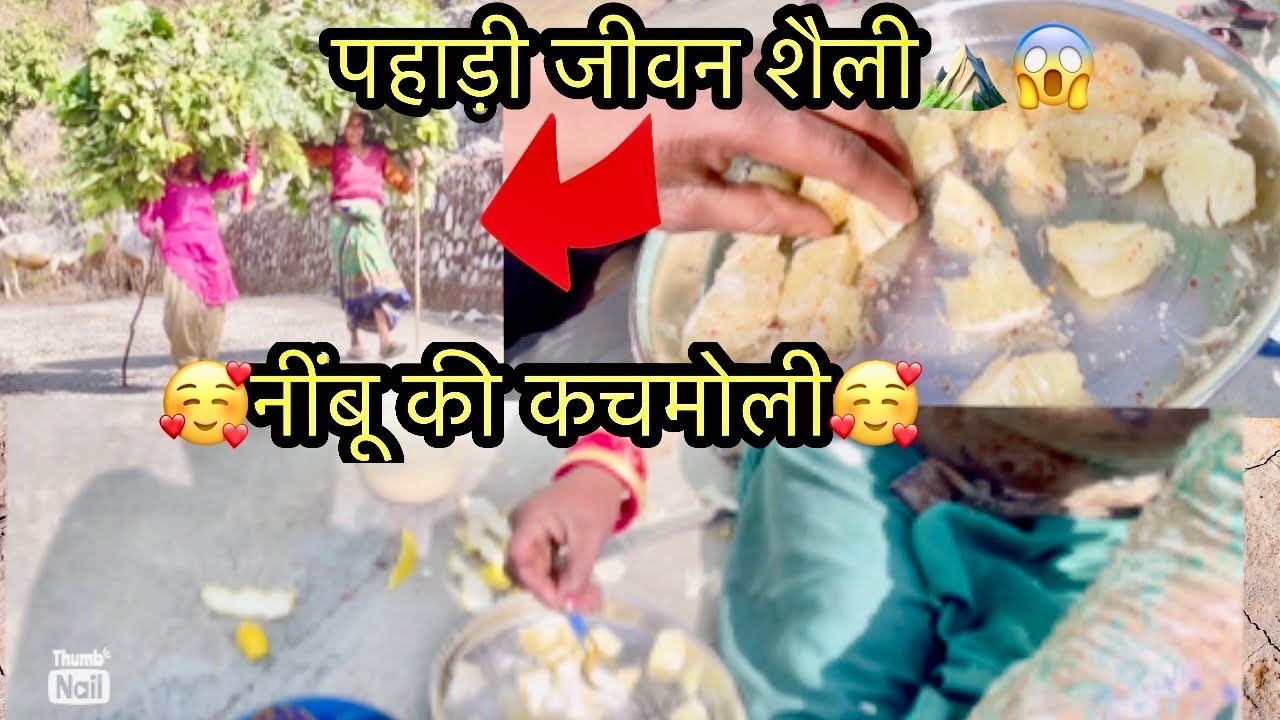 🥰।। आज नींबू की कचमोली खाई।। 🥰#uttarakhand #phadilifestyle #pahadi #dailyvlog #love #phadivibes 