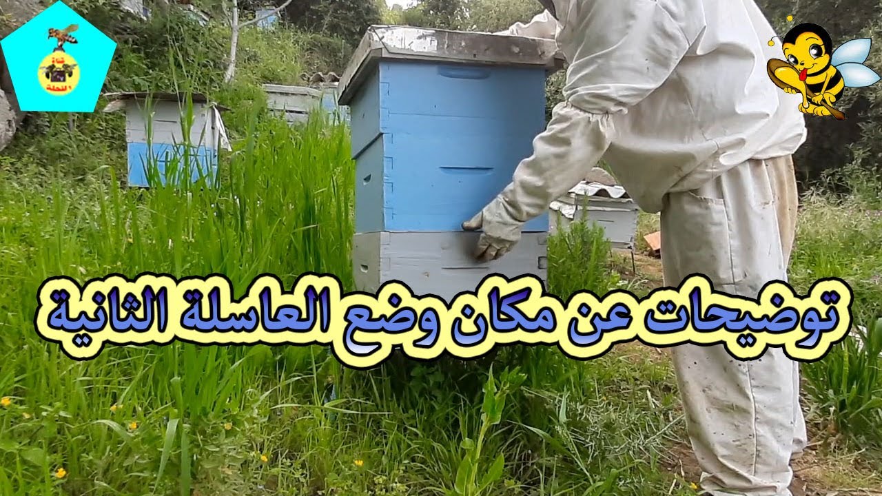 أين أضع العاسلة الثانية عندما لا يتوفر عندي إطارات مبنية