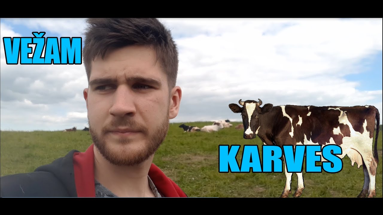 2021 Pavasaris, Vežam karves, lentas, tingus orai