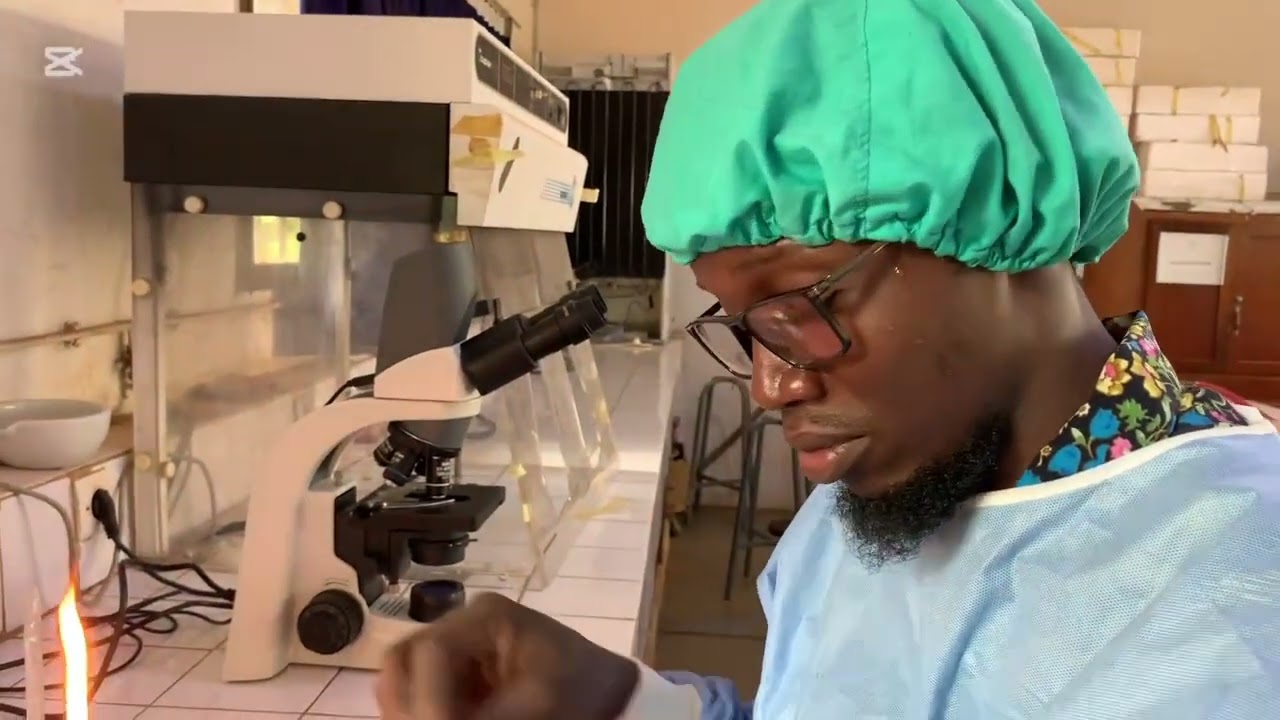 ECBU avec la cellule de malassez #new #foryou #education