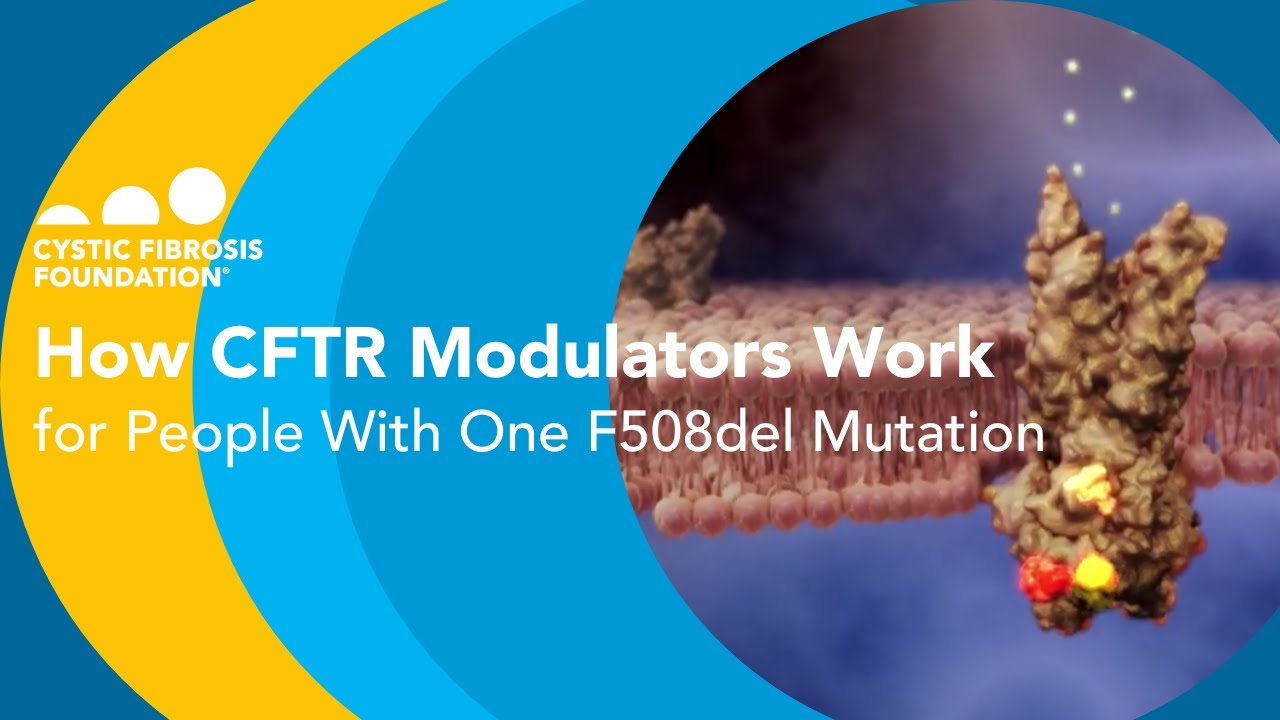 CF Foundation | How CFTR Modulators Work for People With One F508del Mutation
