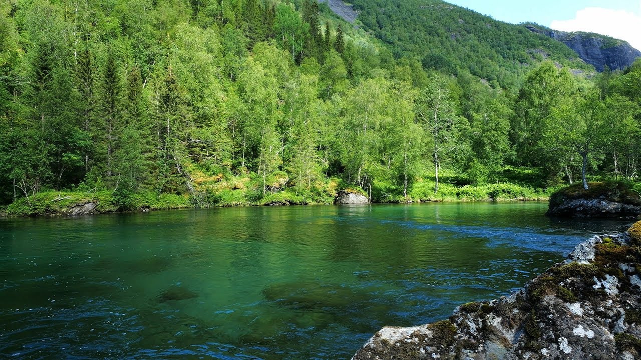 A perfect emerald river deep in the Norwegian forest