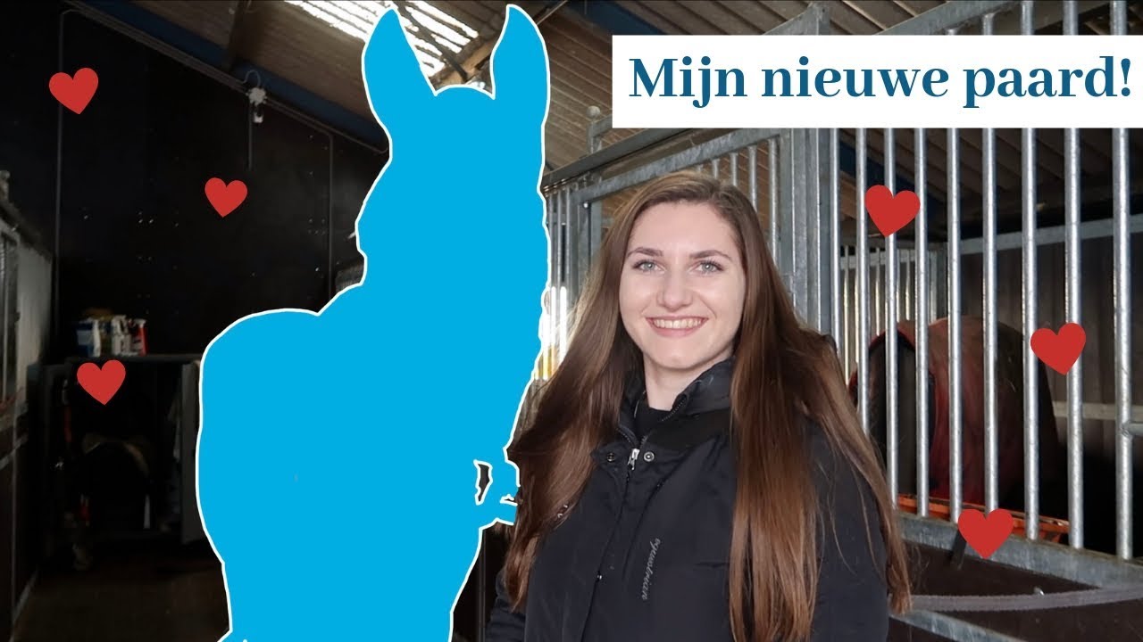 MIJN NIEUWE PAARD!!!