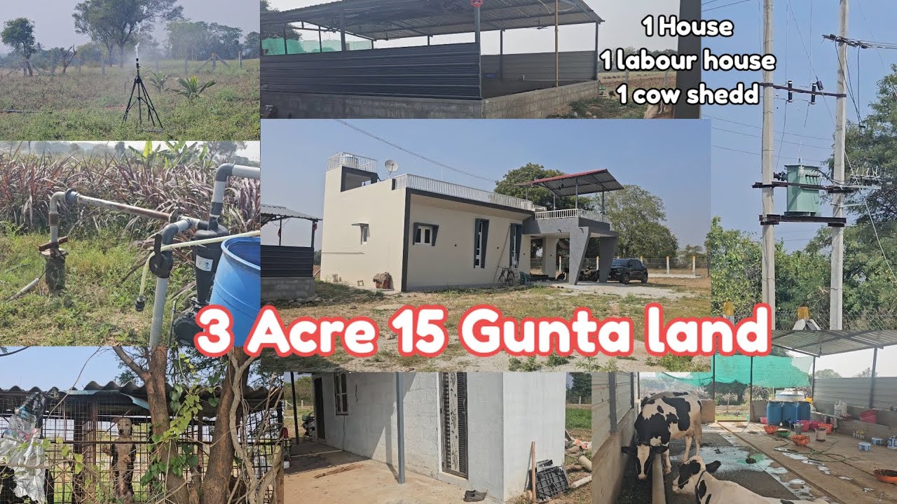 3 acre 15 Gunta land with 2 bhk farm house Bore fence cow shedd labour house Bengaluru 170 km 