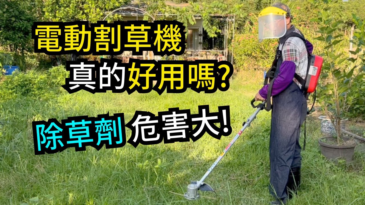 電動割草機為什麼好用？魔力牌電動割草機實際割草作業，安全又省時省力的割草工具 | 阿星種植