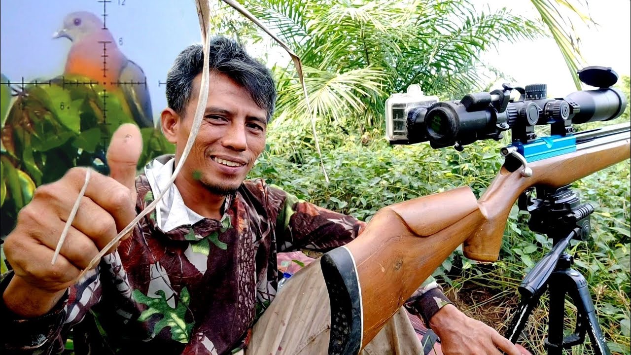 BERBURU punai di pucuk pohon‼️evakuasi bikin ngos ngosan