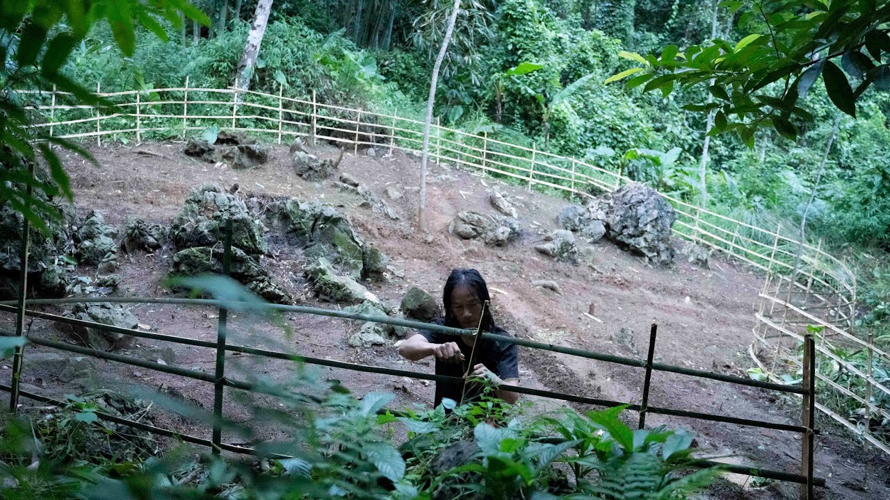 Build a protective fence for the garden, Wilderness Alone, ep 189