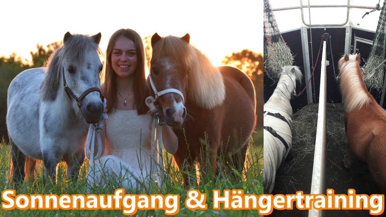 FMA |Sonnenaufgangsshooting & Hängertraining |Sommerferien 2017 mit meinen Besten || dieshettys