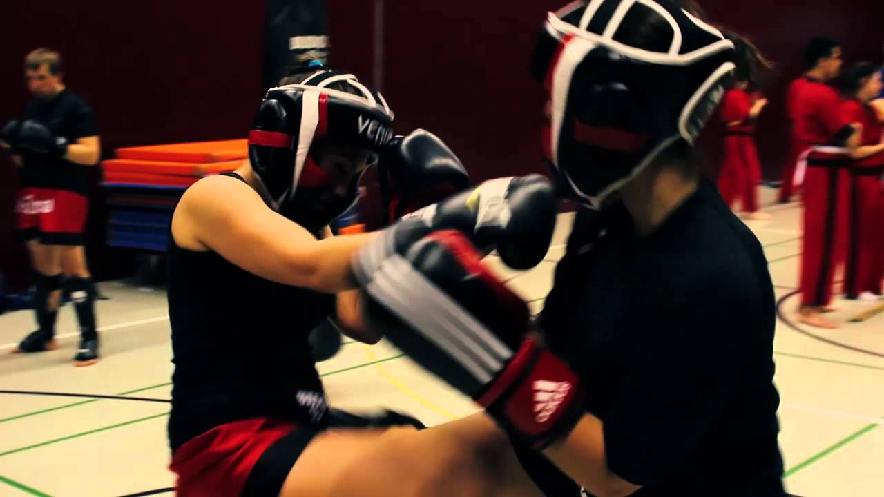 Skyhawk Muay Thai Zürich