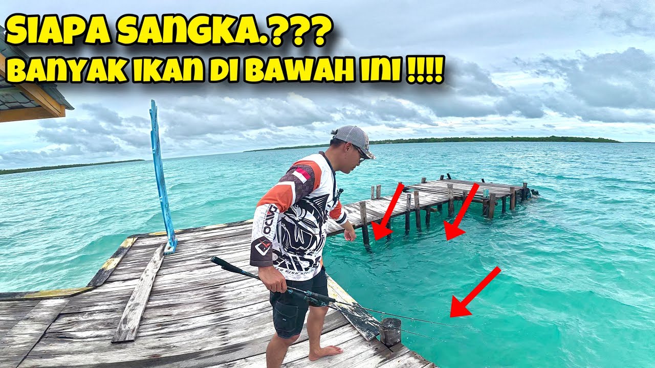 MANCING TEKNIK MICRO SABIKI DI DERMAGA TERBENGKALAI, HASILNYA BANYAK BANGETT