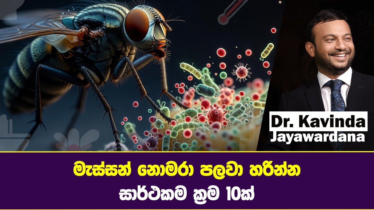මැස්සන් නොමරා පලවා හරින්න සාර්ථකම ක්‍රම 10ක්...
