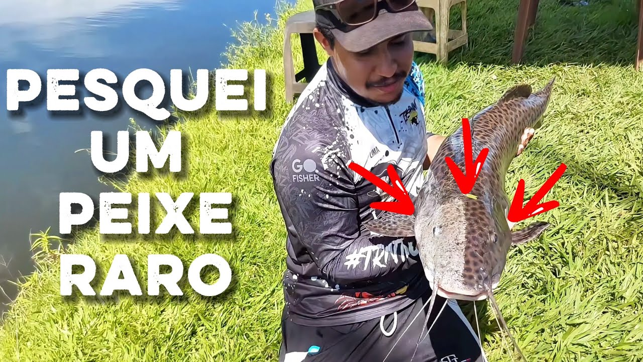 PESQUEI UM PEIXE RARO 🤯🤯 ESSE VOCÊ NUNCA VIU / Pescaria em família no Pesqueiro Serra Azul-SP #pesca