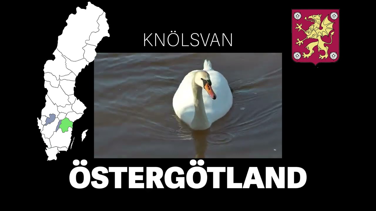 Sveriges landskapsdjur