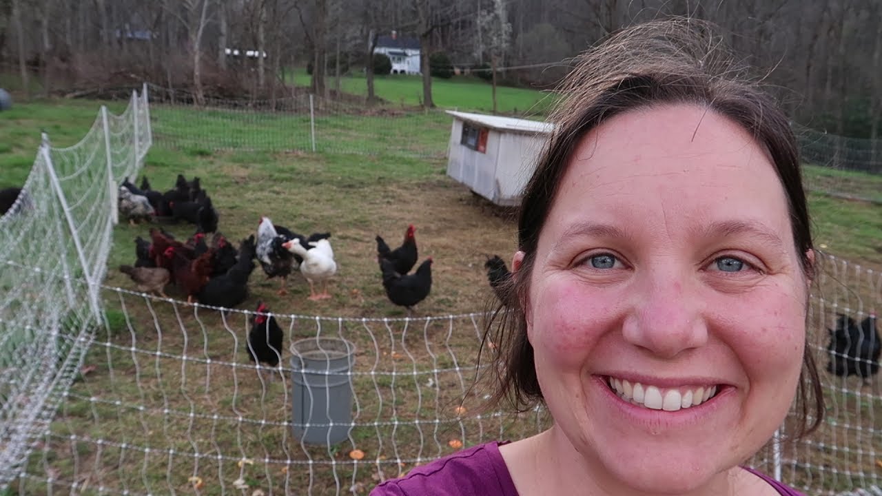 ALL the HOMESTEAD HAPPENINGS!