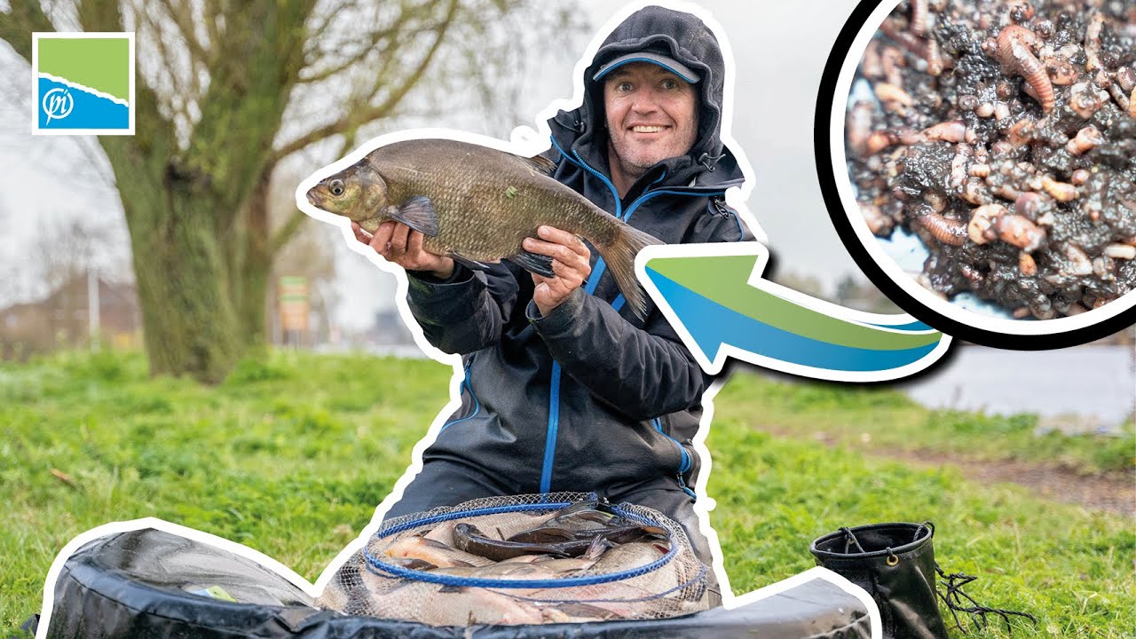 😍 FEEDERVISSEN OP GROTE BRASEM |  Levi van Delft